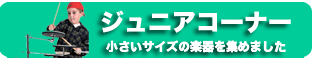 ジュニアサイズ