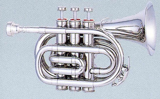 MAXTONEポケットトランペット TM-100Nの画像