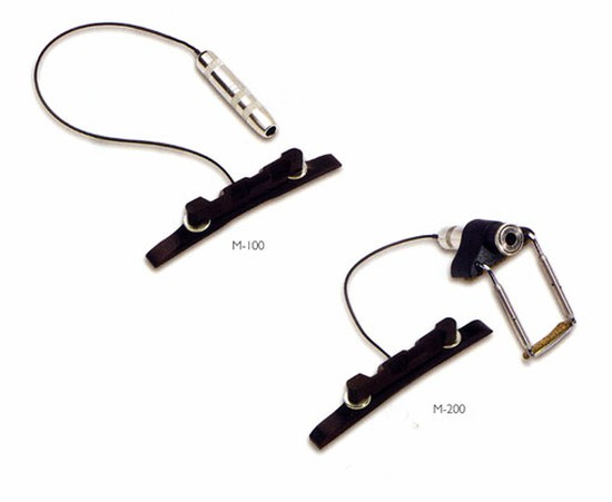 FISHMANM-100＆M-200（マンドリン用）の画像