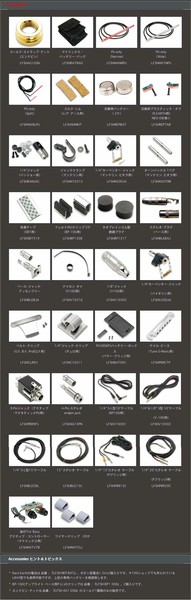 FISHMANFISHMAN Accessoriesの画像