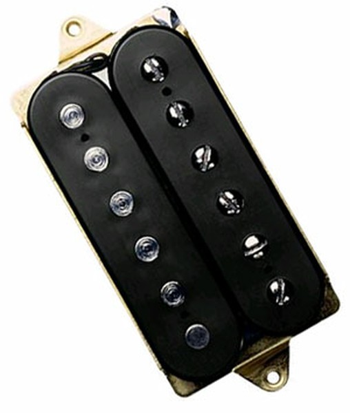 DiMazioPAF 36th Anniversary DP103の画像