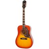 EpiphoneHummingbird Pro FCの画像