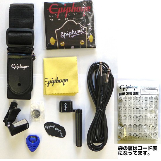EpiphoneHummingbird Pro FCの画像