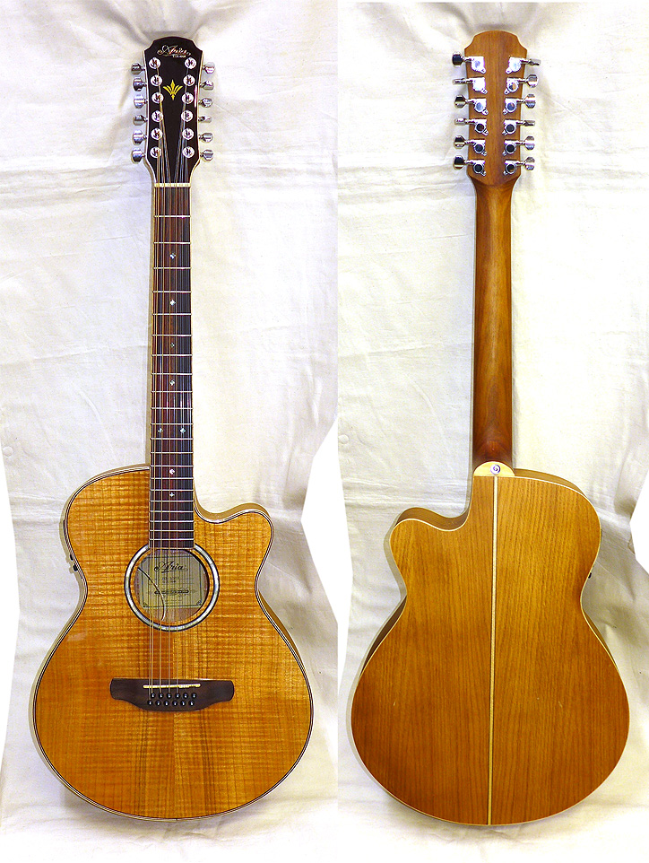 Aria FET-12/SPL N (12弦ギター） - アコースティックギターPU付 | 楽器の専門店ミュージックファーム