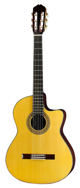 K.YairiNylon Series Electric CE-3の画像