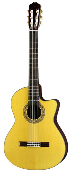 K.YairiNylon Series Electric CE-1の画像