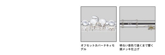 J.MichaelFL-300Sの画像