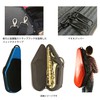 bagsEVOLUTION TENOR SAXの画像
