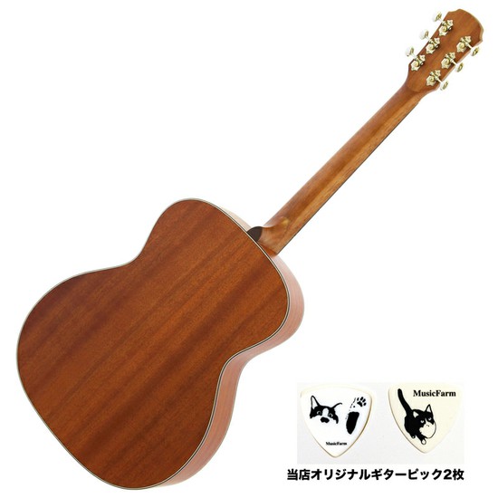 AriaARIA-101 MTNの画像