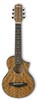 IbanezEWP14WBの画像