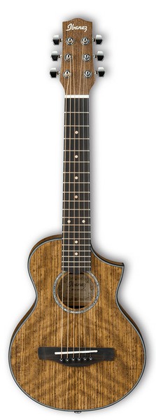 IbanezEWP14WBの画像