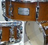 CANOPUSJSM-1455(14