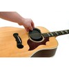 PlanetWavesScreeching Halt PW-SH-01の画像