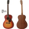 GrecoGAL-30P Cherry Sunburstの画像