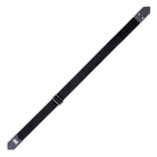 ESPES-S-17Lの画像
