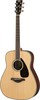 YAMAHAFG830 NTの画像