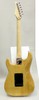 SchecterProGauge PS-ST/NTL/Mの画像