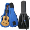 Reunion BluesRBC-C3 RB Continental Voyager Small Body Acoustic / Classic Guitar Caseの画像