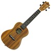 Laule’aLAK-1C Koa Concertの画像