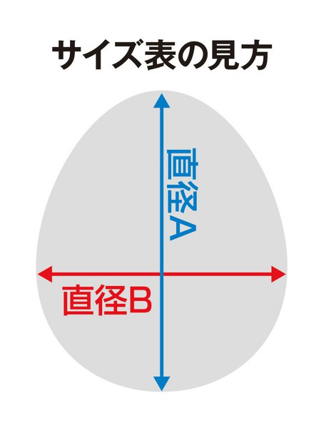 PROTECTIONracketタムケースの画像