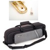 plnstrumentspTrumpet hytecの画像