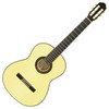 AriaA-100F Basic (Flamenco)の画像