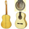 AriaA-100F Basic (Flamenco)の画像