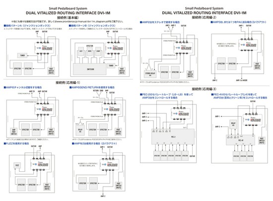 ProvidenceDUAL VITALIZED ROUTING INTERFACE DVI-1Mの画像