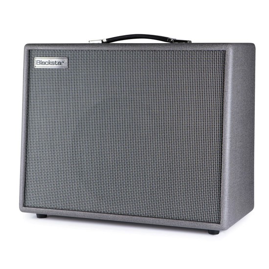 BlackstarSILVERLINE DELUXE 100Wの画像