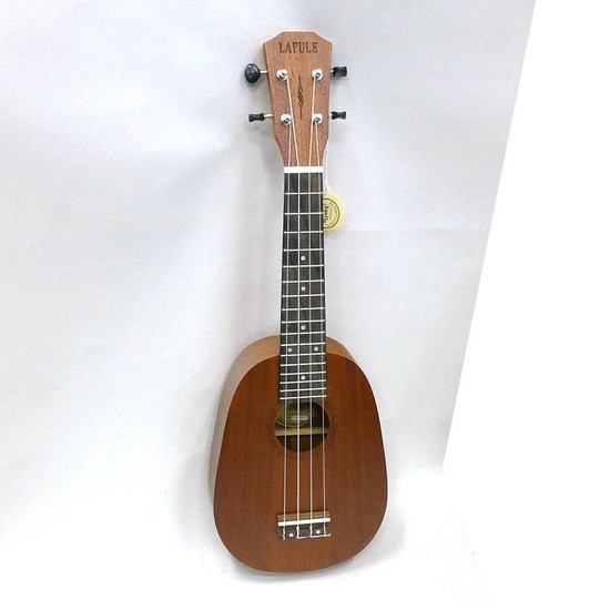 DCTLAPULE パイナップル型 LUP-100Mの画像