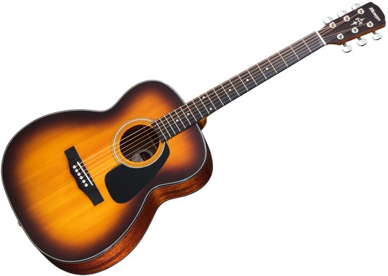 MorrisF-020 TSの画像