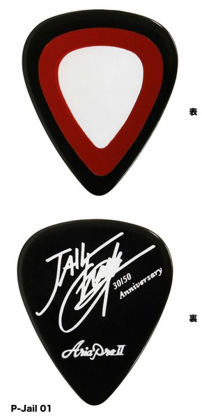 AriaproIIJail Pick P-Jail 01 BK 10枚セットの画像