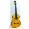 AriaACE-9F　Flamenco- Concertの画像