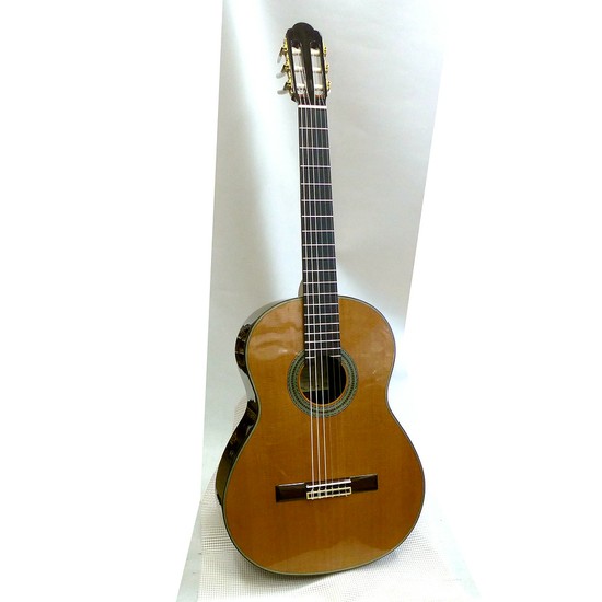AriaA-100Cの画像