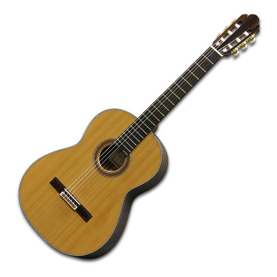 小平ギターAST-85の画像