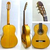 AriaACE-9F　Flamenco- Concertの画像