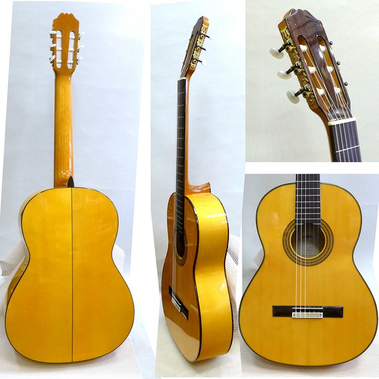 AriaACE-9F　Flamenco- Concertの画像
