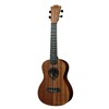 LAGTKU8C UKULELE CONCERTの画像