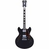 D'AngelicoPremier DC Black Flakeの画像