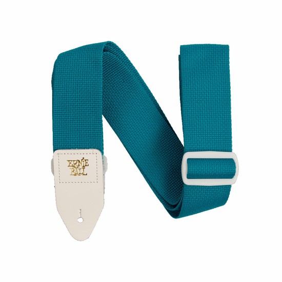 ErnieBallP05349 POLYPRO TEAL/WHの画像