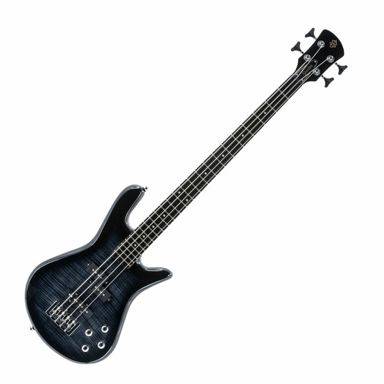 SpectorLegend 4 Standard Black Stain Glossの画像