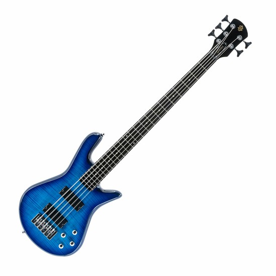 SpectorLegend 5 Standard Blue Stain Glossの画像