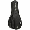 RITTERRGD2-MAR ANT Round Mandolinの画像