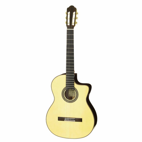 AriaBasic (Electric Cutaway) A-100CEWの画像