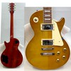 EdwardsE-LP-125SD LMDの画像