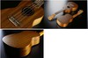 LAGTKU8C UKULELE CONCERTの画像