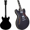 D'AngelicoPremier DC Black Flakeの画像