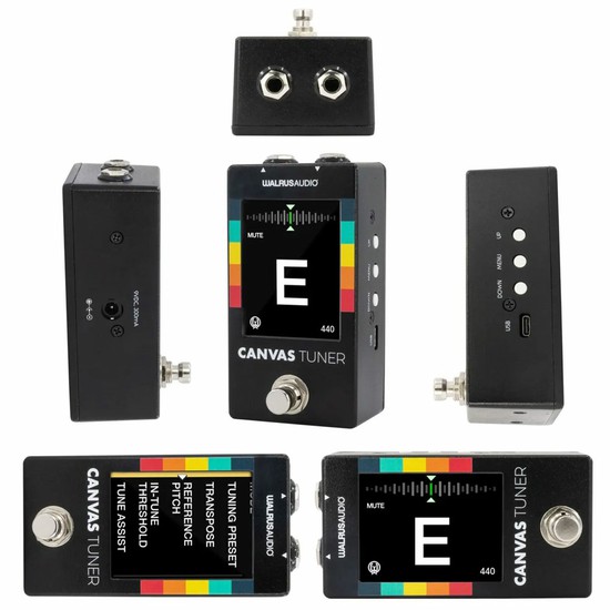WALRUS AUDIOCANVAS TUNER WAL-CANV/TUの画像