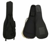 AriaABC-300EG -Electric Guitar-の画像