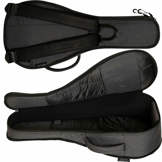 RITTERRGD2-MAR ANT Round Mandolinの画像